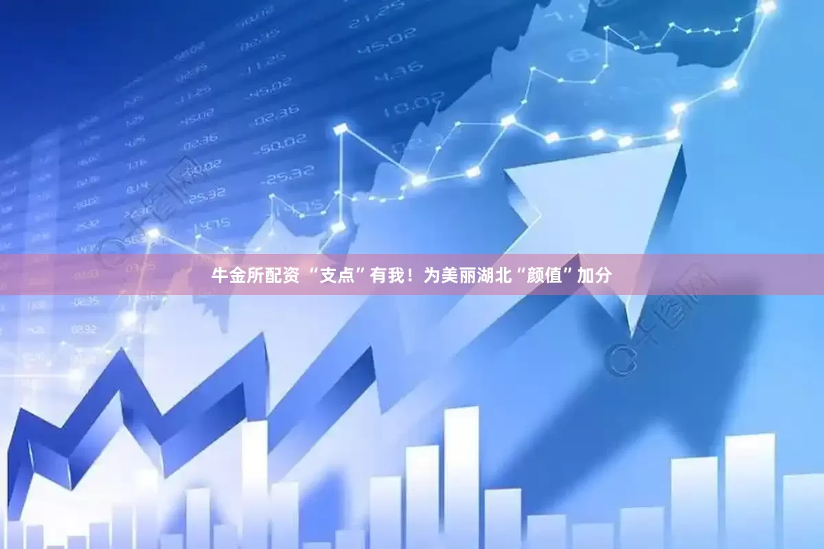 牛金所配资 “支点”有我！为美丽湖北“颜值”加分