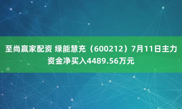 至尚赢家配资 绿能慧充（600212）7月11日主力资金净买入4489.56万元