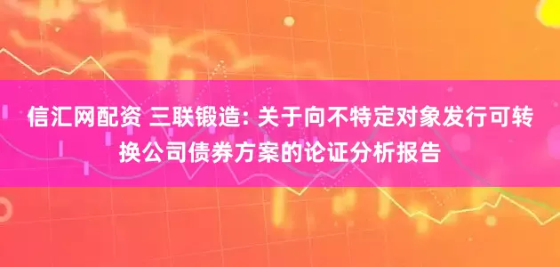 信汇网配资 三联锻造: 关于向不特定对象发行可转换公司债券方案的论证分析报告