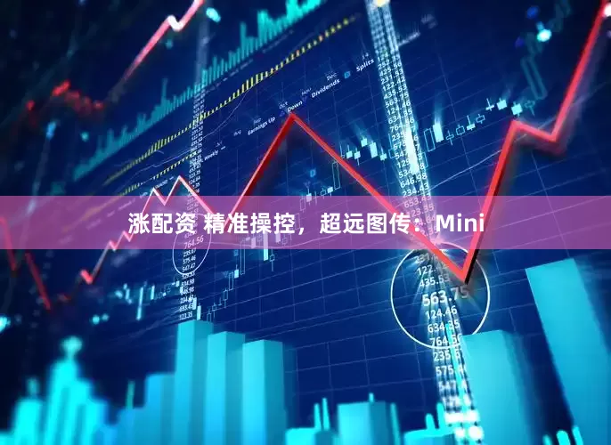 涨配资 精准操控，超远图传：Mini